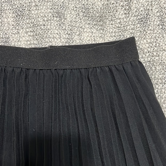 Pleated Skirt - Picture 2 of 4